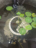 森森小魚缸壁掛過濾器三合一魚缸水泵循環(huán)瀑布外置過濾器過濾設備 HBL-303 適合40cm長以上魚缸 曬單實拍圖