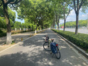 Rhinowalk犀牛自行車包馱包尾包后座貨架包防水公路車山地車騎行裝備收納包 藍色（1個） X21668多功能三合一騎行包20L 曬單實拍圖