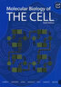 現貨 細胞分子生物學(xué) 第六版精裝 Molecular Biology of the Cell 曬單實(shí)拍圖