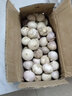 小筑傾橙 正宗云南紫皮獨(dú)頭蒜農(nóng)家獨(dú)蒜頭紫皮蒜紅皮蒜農(nóng)家蔬菜整箱 【鮮蒜】3斤大號【直徑3-3.5cm】 曬單實(shí)拍圖