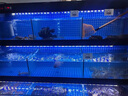 魚(yú)小森超市飯店魚(yú)池移動(dòng)海鮮池商用制冷機一體海鮮魚(yú)缸海鮮缸貝類(lèi)池定制 2.0x0.95x1.65m 圖紙/預付1m-100m長(cháng)寬高尺寸顏色 曬單實(shí)拍圖