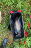 挺派釣魚(yú)原塘顆粒鯉魚(yú)打窩料黑坑打窩誘魚(yú)鯽鯉魚(yú)野釣魚(yú)餌魚(yú)粉腥底窩料 魚(yú)粉味原塘顆粒(濃腥1.6斤通用） 3mm 曬單實(shí)拍圖