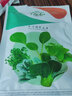 壽禾 黃心菜油菜種子玫瑰烏塌菜白菜菜籽菜子蔬菜秋冬黑菜種籽 黃心烏種子 100g裝 曬單實(shí)拍圖