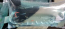 美人雾孔雀鱼观赏鱼活体凤尾鱼斗鱼宠物活体小型热带鱼活体活鱼 七彩蕾丝3对（3cm左右） 实拍图