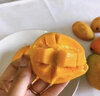 沐小七果蔬海南小臺(tái)芒果當(dāng)季新鮮水果現(xiàn)摘甜心小芒果廣西小臺(tái)農(nóng)整箱現(xiàn)發(fā) 9斤精選大果【80%選擇更劃算】 曬單實(shí)拍圖