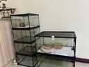 REPTIZOO爬蟲飼養(yǎng)箱爬寵蜥蜴守宮蛇烏龜玻璃爬缸倉鼠刺猬角蛙寄居蟹飼養(yǎng)盒 31x31x20cm-水陸兩用 三倉速發(fā) 曬單實拍圖