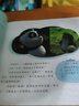 熊貓和小鼴鼠學(xué)會交朋友圖畫故事書第二輯（套裝共10冊）第二輯 曬單實(shí)拍圖