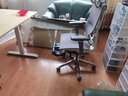 達(dá)寶利DZ301電動升降電腦桌站立辦公工作臺 學(xué)習(xí)桌子實木書桌 白色桌架+松木桌面【2.7cm】 160*80cm 曬單實拍圖