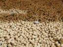 佳乐滋消臭珠猫砂伴侣可混合豆腐猫砂膨润土猫砂使用 夏威夷海岛香450ml 实拍图