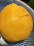 親果力【京鮮配送】山西酥梨貢梨新鮮水果5/9斤冰糖酥梨皮薄脆甜多汁 生 3斤 曬單實(shí)拍圖