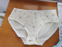 Hello Kitty凱蒂貓女童內(nèi)褲棉兒童短褲寶寶小孩女孩底褲少女三角褲童裝褲頭 A類 植物 三角4條裝 KT01D08238 160適合155-165cm 曬單實拍圖