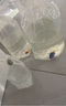 興國海（Singoseafarm）紫草莓 雙色草莓 海水觀(guān)賞魚(yú)活體紫天堂定水快遞發(fā)貨包活興國海 雙色草莓3-5cm 曬單實(shí)拍圖