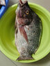 浮煙山魚(yú)竿手竿超輕超硬28調臺釣竿碳素鯉魚(yú)竿19調綜合竿野釣競技黑坑竿 6.3m 【柒殺-硬挺19調】 曬單實(shí)拍圖