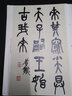 吳昌碩臨石鼓文 彩色放大本中國著名碑帖 圖書 曬單實拍圖