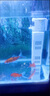 勛貍粑小魚(yú)缸過(guò)濾器迷你小型上置外置壁掛式過(guò)濾盒滴流盒毛竹筒子流水器 竹形過(guò)濾器(無(wú)水泵) 曬單實(shí)拍圖