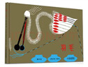 曹文軒經(jīng)典作品：羽毛 曬單實(shí)拍圖