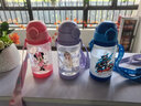 迪士尼（Disney）兒童水杯女孩吸管杯米妮水壺上學(xué)專(zhuān)用小學(xué)生幼兒園夏季直飲杯子 曬單實(shí)拍圖