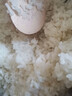 長(cháng)谷園砂鍋伊賀燒砂鍋爐灶先生雙蓋砂鍋米飯專(zhuān)用鍋煲仔飯熬湯燉湯砂鍋 1.5L 3-5人份 曬單實(shí)拍圖