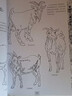 美術(shù)入門(mén)：白描起步 曬單實(shí)拍圖