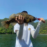 飛螞蟻小真魚T尾軟餌FISHANT路亞假餌仿生餌2/2.5/2.8/3寸 14種顏色可選 1#閃鱗 2寸 曬單實(shí)拍圖