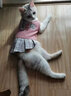 Lanswood貓衣服防掉毛秋冬寵物貓咪衣服狗衣服貓裙子無(wú)毛貓保暖布偶衣服 JK連衣裙（粉） XS：胸圍32cm【建議2-4斤】 曬單實(shí)拍圖