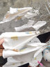 鵬優(yōu)嬰兒禮盒套裝新生兒衣服純棉春秋保暖寶寶出生滿月禮母嬰用品禮物 22件套森林樂園四季款 均碼 0-6個(gè)月 曬單實(shí)拍圖