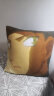 FME 抱枕定制靠垫枕头被来图照片DIY公司logo做明星动漫礼物创意礼品 光滑亮缎布 双面抱枕45cm -被子120x160 实拍图
