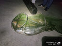 詹品 翹嘴鳊魚(yú)成品加長(cháng)行程子線(xiàn)雙鉤鬼牙金海夕有倒刺魚(yú)鉤綁好套裝 八江結150CM-11號/3.0號線(xiàn) 曬單實(shí)拍圖