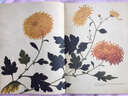 植物大發(fā)現(xiàn) 黃金時(shí)代的圖譜藝術(shù)（異步圖書出品） 曬單實(shí)拍圖