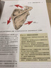 基礎肌動(dòng)學(xué) 第三版 港臺原版 Mansfield 愛(ài)思唯爾 物理治療 曬單實(shí)拍圖