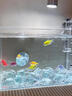 FKSC魚(yú)缸造景擺件冰藍(lán)水晶玻璃石斗魚(yú)缸裝飾觀(guān)賞石水族箱底部砂石免洗 【1斤】冰藍(lán)玻璃石(約3-5cm) 曬單實(shí)拍圖