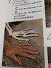 世界藝術(shù)經(jīng)典教程 法國(guó)大師雕塑技法入門全解（繪客出品） 曬單實(shí)拍圖