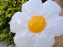 TaTanice 太陽花鋁膜氣球 紀(jì)念日裝飾后備箱驚喜寶寶周歲生日布置派對 曬單實(shí)拍圖