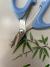 有雙剪腳指甲刀剪灰指甲專用 精品工藝 高檔尖嘴修甲腳趾甲溝炎剪子 A級709小號【藍(lán)柄指剪】 曬單實(shí)拍圖