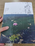 正版現(xiàn)貨 言葉之庭小說 全套2冊 正傳+外傳 新海誠x加納新太小說 梅雨季的孤悲物語文學(xué)動漫畫秒速五厘米你的名字十字路口天聞角川 曬單實拍圖