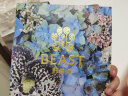 野兽派（THE BEAST）莫奈手提袋2020款（仅随商品购买，不单独出售）2020款（32×8×26.5） 实拍图