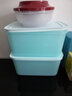 特百惠（Tupperware）新冷凍保鮮盒2.5升雪影款冷藏冷凍兩用大型保鮮盒 2.5升雪影冷凍2件套全藍色 曬單實(shí)拍圖