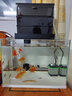 玩家寶貝大型魚缸過濾器上濾槽滴流盒抽屜式防溢流抽拉式盒子鋁合金過濾槽 3盒 32CM 過濾器+專業(yè)濾材+水泵 曬單實拍圖