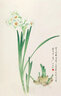初學(xué)者之友·白描百圖：花鳥百圖 曬單實(shí)拍圖