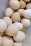 谷物歡欣 林間散養土雞蛋 新鮮雞蛋 農家散養柴雞蛋綠殼蛋 適合孕婦寶寶 50枚 曬單實(shí)拍圖