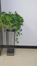 安定家花架子客廳落地式室內鐵藝多肉綠蘿植物擺放架簡(jiǎn)易裝飾花盆托架 黑架+黑板_寬24高90 加強筋支撐 曬單實(shí)拍圖