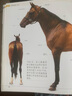 DK馬百科全書(shū)（全新升級(jí)版 ） DK重磅出品，匠心制作，視覺(jué)盛宴，國(guó)內(nèi)首次原版引進(jìn)，全球暢銷(xiāo)的經(jīng)典圖書(shū)；近1000幅高清彩色照片，全面揭秘關(guān)于馬的一切，認(rèn)識(shí)馬的啟蒙巨作 曬單實(shí)拍圖