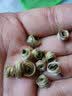 福茗源 茉莉女兒環 茉莉花茶新茶濃香型高檔貴妃雪環金玉環袋裝250g 曬單實拍圖