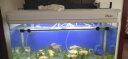 森森（SUNSUN）鱼缸潜水泵水族箱抽水泵循环过滤泵 JQP-3000 45W 实拍图