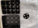 塑料透明育苗盒保濕保溫育苗盤(pán)三件套扦插育苗箱多肉培育種子帶蓋 12孔育苗盤(pán) 曬單實(shí)拍圖