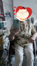 簡幽（JIANYOUFS）媽媽夏裝真絲襯衫時尚大碼2024新款中老年女高貴桑蠶絲上衣 曬單實拍圖