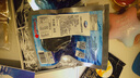 ARCTICA FOOD北極食品加拿大原裝進(jìn)口海參淡干海參干貨北極參滋補(bǔ)送禮盒精品級(jí) 100g裝（4-6頭） 曬單實(shí)拍圖