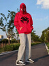 VFDF官方正品原創(chuàng)設計蜘蛛網(wǎng)黑白板鞋男女ins小眾低幫百搭情侶休閑鞋 888501黑白 42 曬單實拍圖