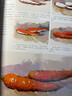新起點(diǎn)美術(shù)普及教學(xué)叢書：色彩入門 曬單實(shí)拍圖