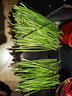 蒔薈果蔬（順豐現摘）福建綠蘆筍農家現挖青筍龍須菜嫩蘆筍去白根新鮮蔬菜 1斤 大筍（直徑10-15mm） 曬單實(shí)拍圖